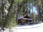 Teeny, Tiny Cabin For sale Palomar Mountain