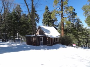 Cabin for sale now $129,000!