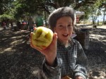 Apple Festival Palomar Mountain