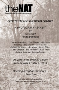 Natural History Museum