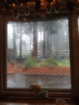 rain on palomar mountain