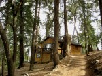 beauty in the woods cabin for sale palomar mountain bonnie phelps