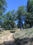 land for sale palomar mountain