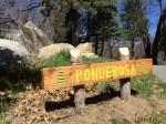 ponderosa log cabin vacation rental