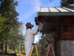 palomar mountain state park