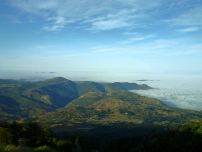 bert's earthquake view