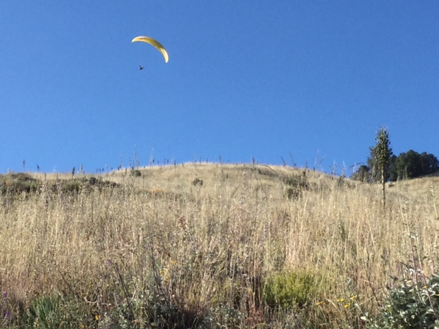 hang gliding