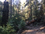 45fb8874-d2a6-41ab-9f05-d0e734b06390