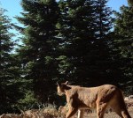 38022833_10216637738200006_8163441917145645056_n