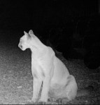 40164732_10212955785153549_657383051466113024_n