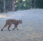 40215256_10212955786553584_970736125851205632_n