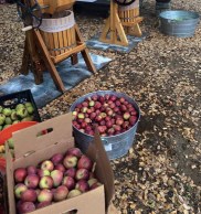 41524122_1883233158437111_4924249686413410304_n