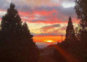 48413520_352850488833475_8768463824010346496_n