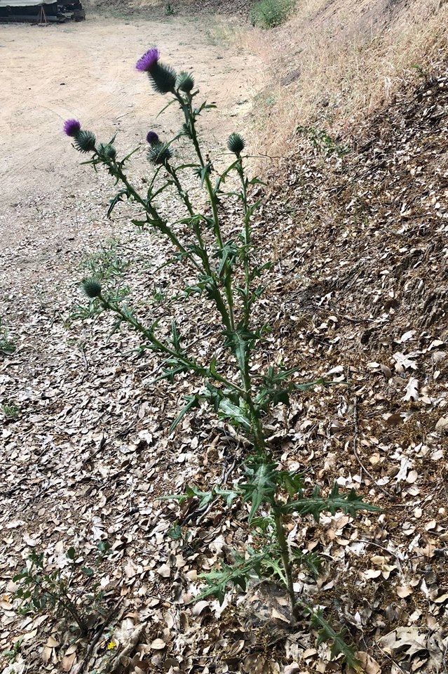 64379373_354098311953193_5918507329510178816_n