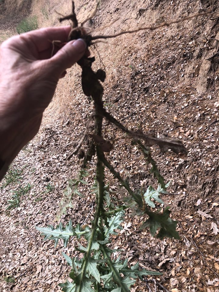 67218290_944912589182104_8426973366602170368_n