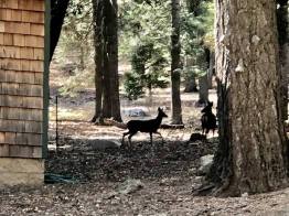 73186048_10218029570844175_8588205914908000256_n