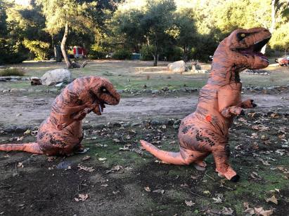 80298625_10218396219010150_4789617966515748864_o